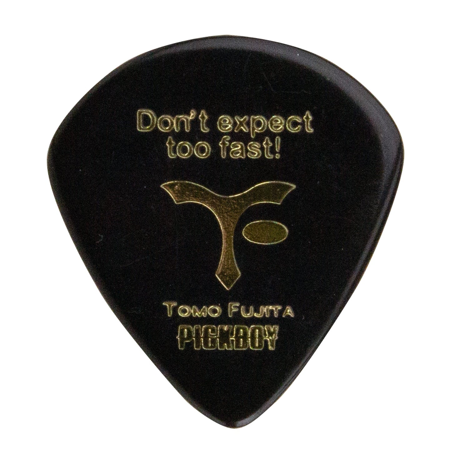 TOMO FUJITA Signature Wisdom JAZZ Picks | Jazz | 素材:セルロイド | 10枚入り