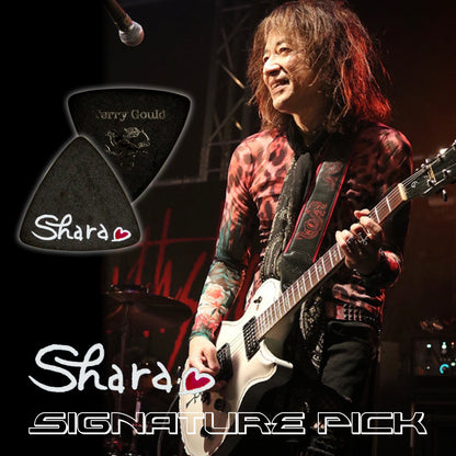 SHARA-Modell [Shinichiro Ishihara/Earthshaker] | Dreieck | Material: Polyacetal | Farbe: Schwarz | 10 Stück